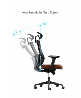 ALBİNA FİLE