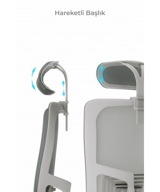 LUMBAR