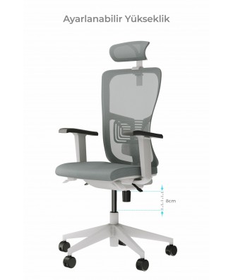 LUMBAR