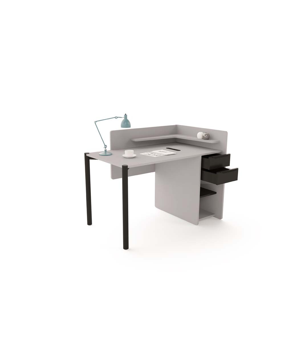 NOKTA HOME 1