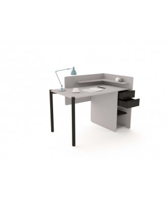 NOKTA HOME 1