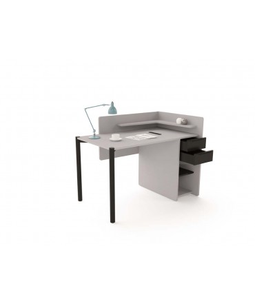 NOKTA HOME 1