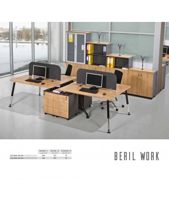 BERIL WORK